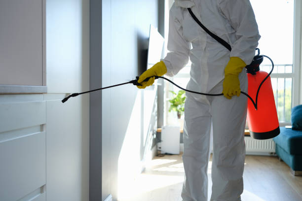 Best Certified Mold Removal  in Waldo, FL